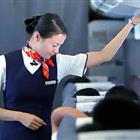 航空服務（票務、安檢方向）、航空乘務定向委培